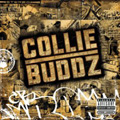 música real de collie buddz