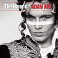 música real de adam & the ants