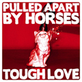 música real de pulled apart by horses